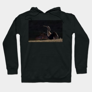 Bathing in the light - Anhinga Hoodie